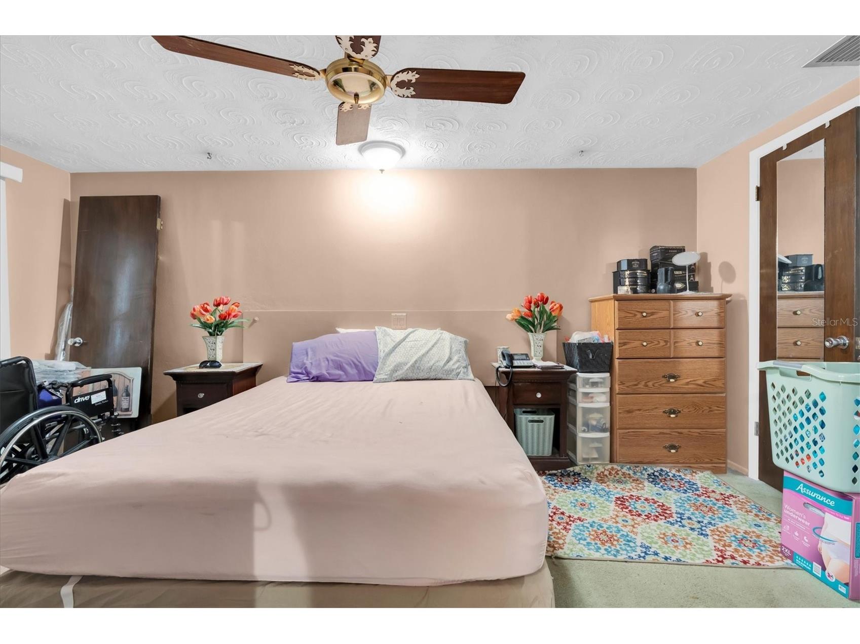 3352 Seffner Drive Holiday FL 34691 TB8502564 image14