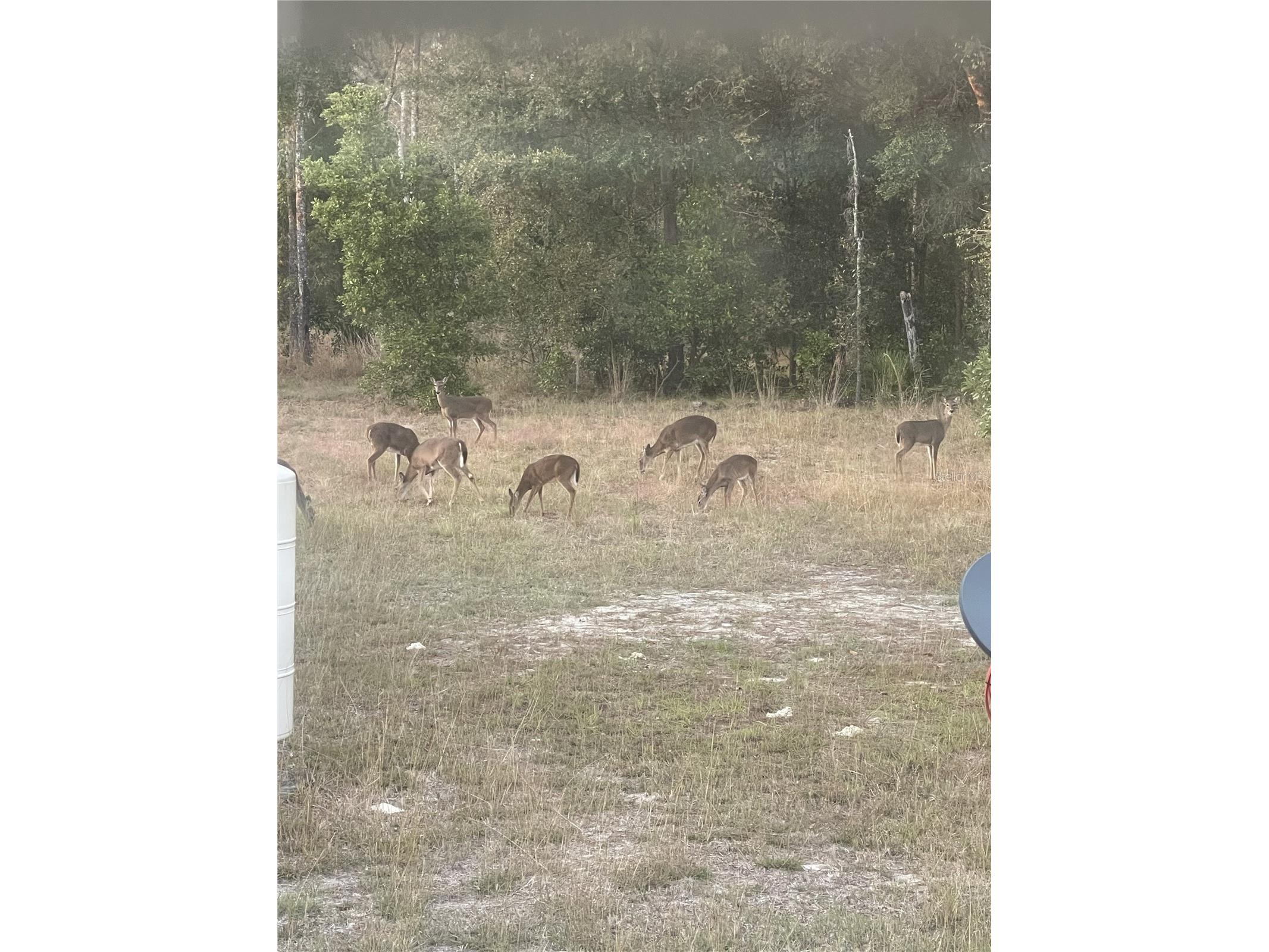 3353 NE 71st Avenue High Springs FL 32643 GC537022 image31