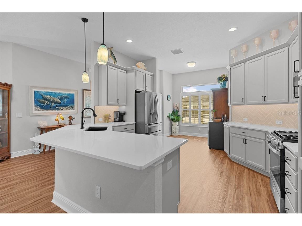 3353 Wielenga Place The Villages FL 32163 O6361422 image10