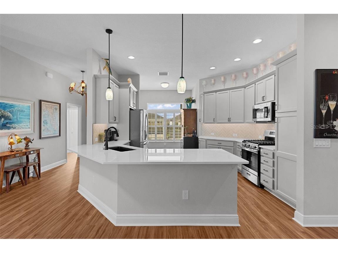 3353 Wielenga Place The Villages FL 32163 O6361422 image9