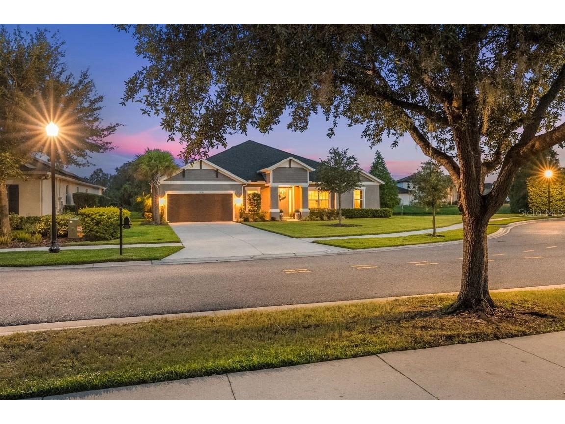 33536 Willow Point Court Wesley Chapel FL 33545 TB8413768 image1