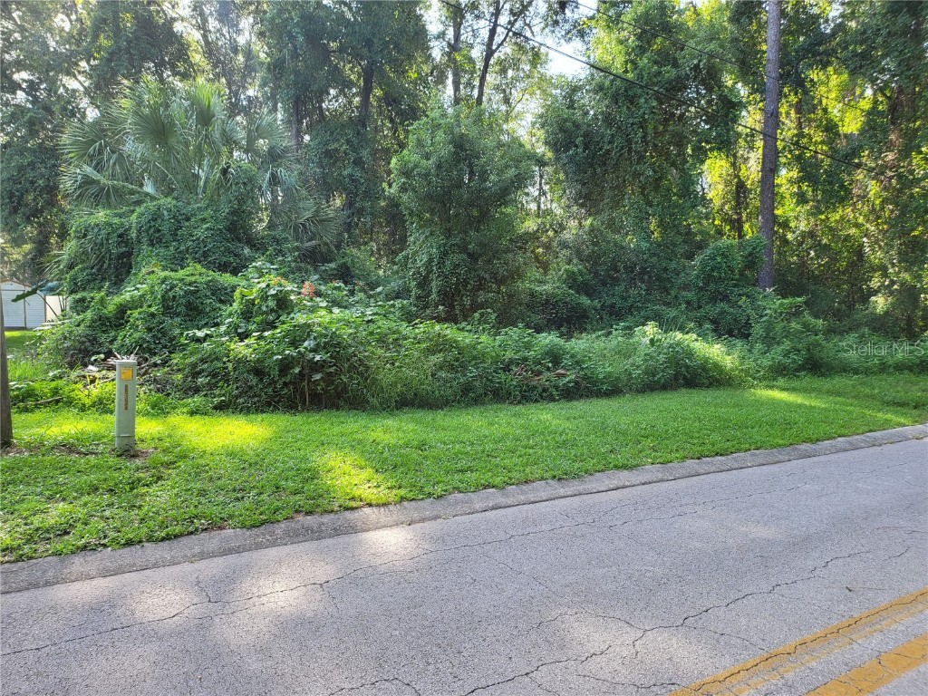 3354 S Diamond Inverness FL 34452 OM643531 image1