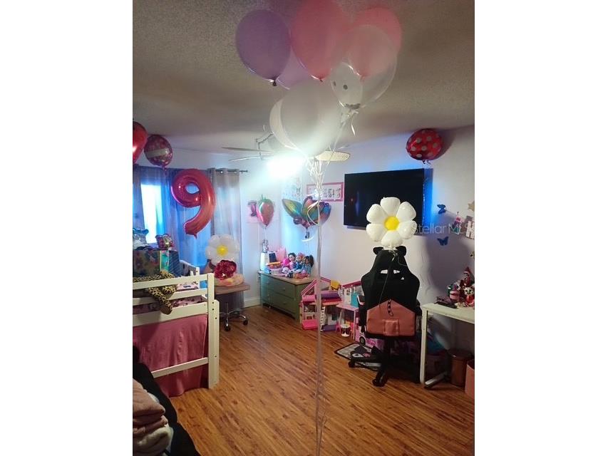 3354 Scorecard Drive #3 New Port Richey FL 34655 S5148913 image10