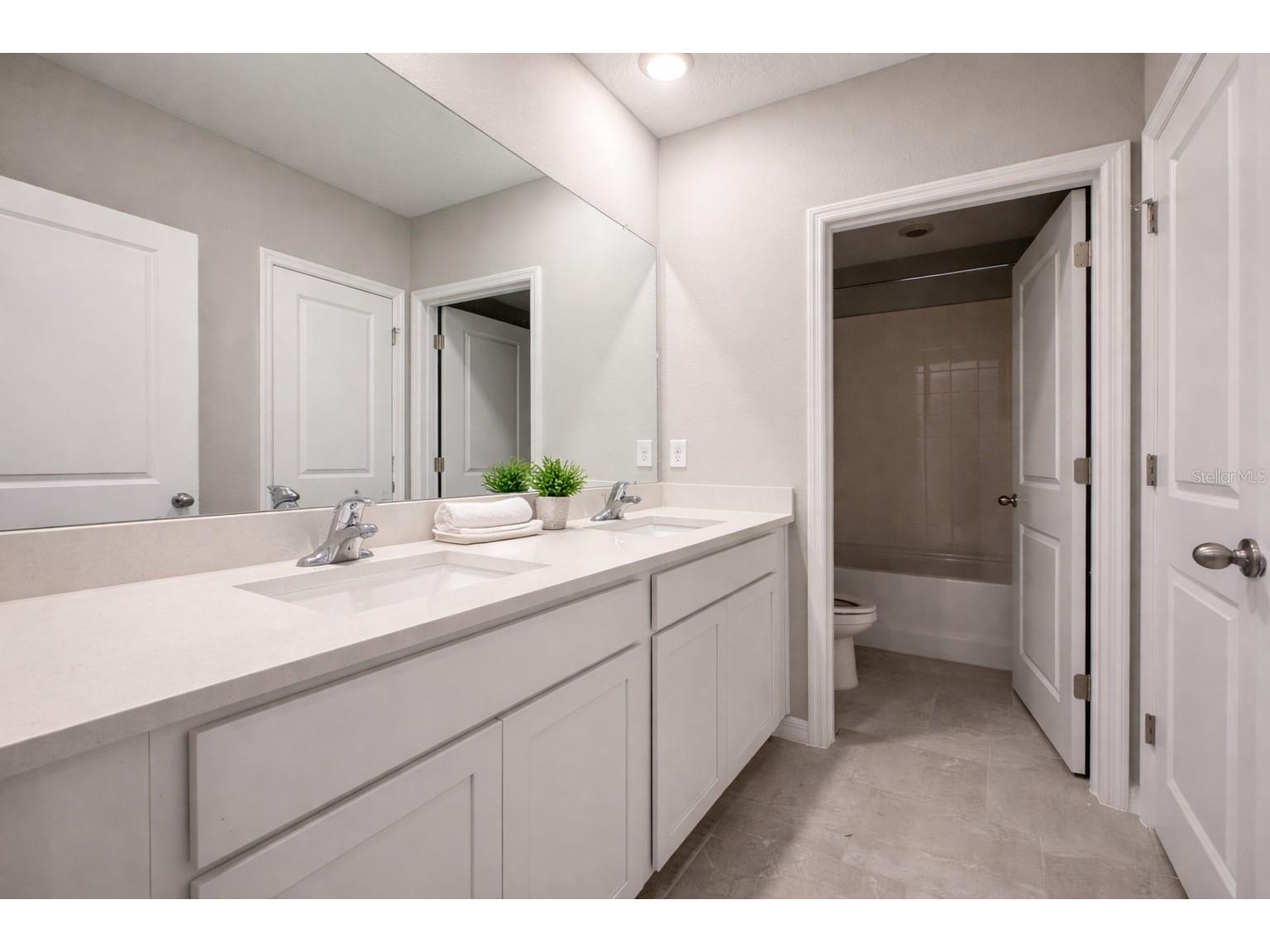 33546 Darley Dale Trail Wesley Chapel FL 33545 TB8503058 image10