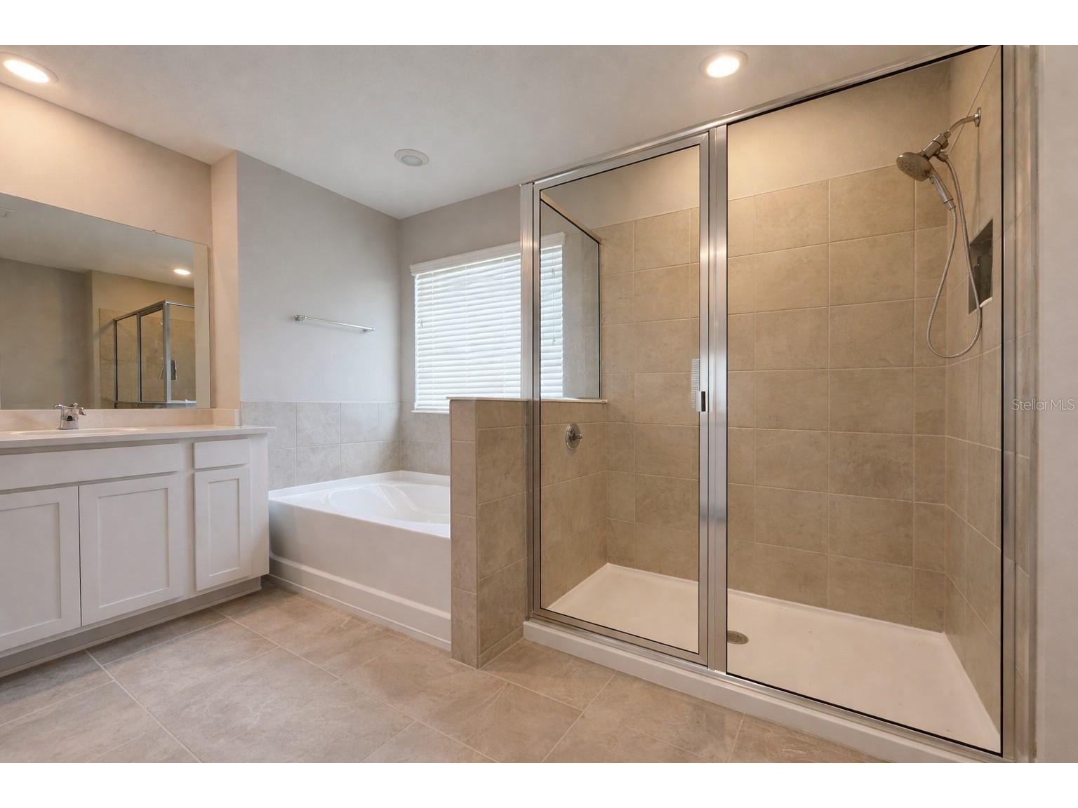 33546 Darley Dale Trail Wesley Chapel FL 33545 TB8503058 image3