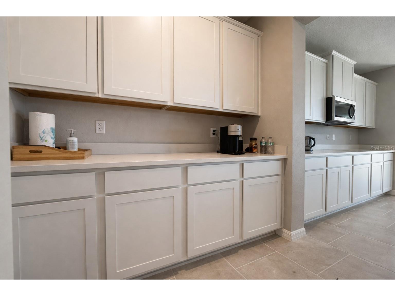 33546 Darley Dale Trail Wesley Chapel FL 33545 TB8503058 image7