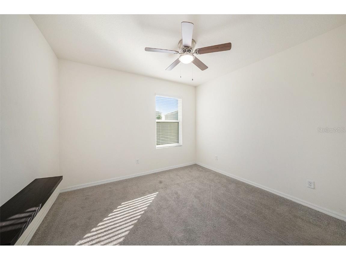 33548 Elm Hill Branch Wesley Chapel FL 33545 TB8450646 image18