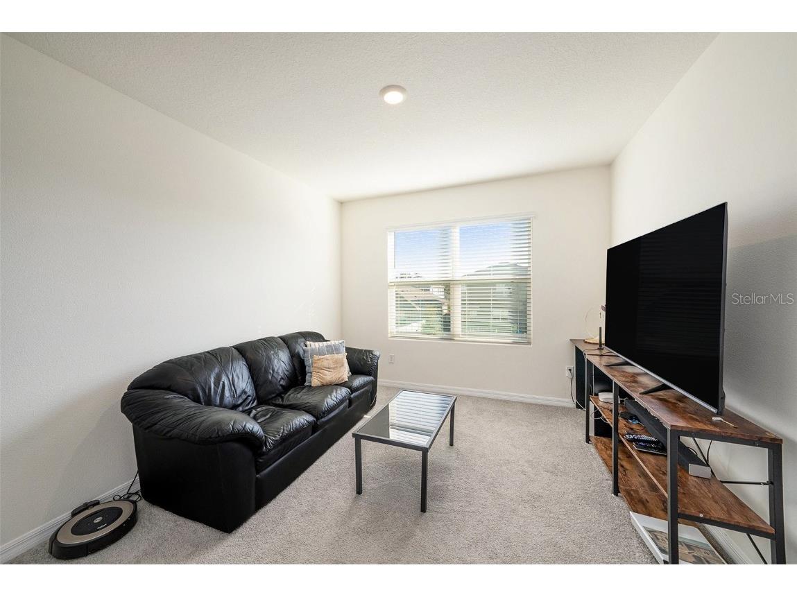 33548 Elm Hill Branch Wesley Chapel FL 33545 TB8450646 image21