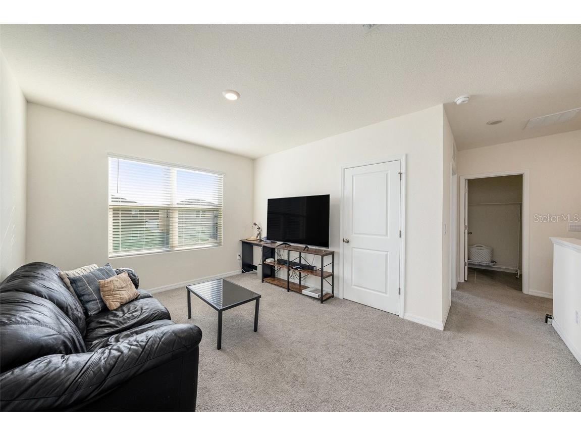 33548 Elm Hill Branch Wesley Chapel FL 33545 TB8450646 image22