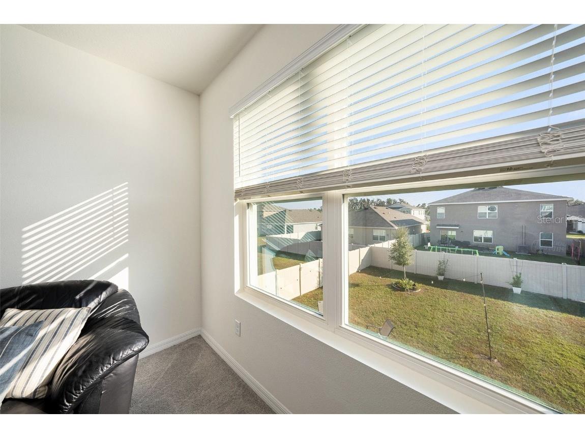 33548 Elm Hill Branch Wesley Chapel FL 33545 TB8450646 image23