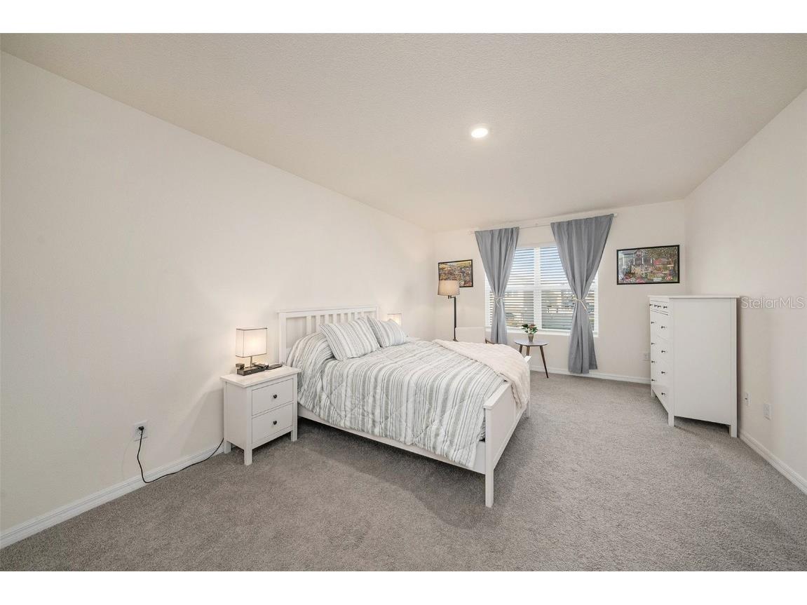 33548 Elm Hill Branch Wesley Chapel FL 33545 TB8450646 image24