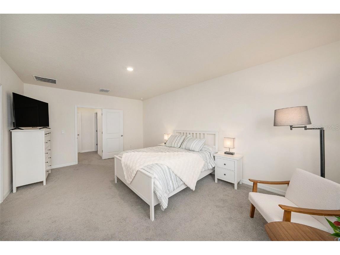 33548 Elm Hill Branch Wesley Chapel FL 33545 TB8450646 image25