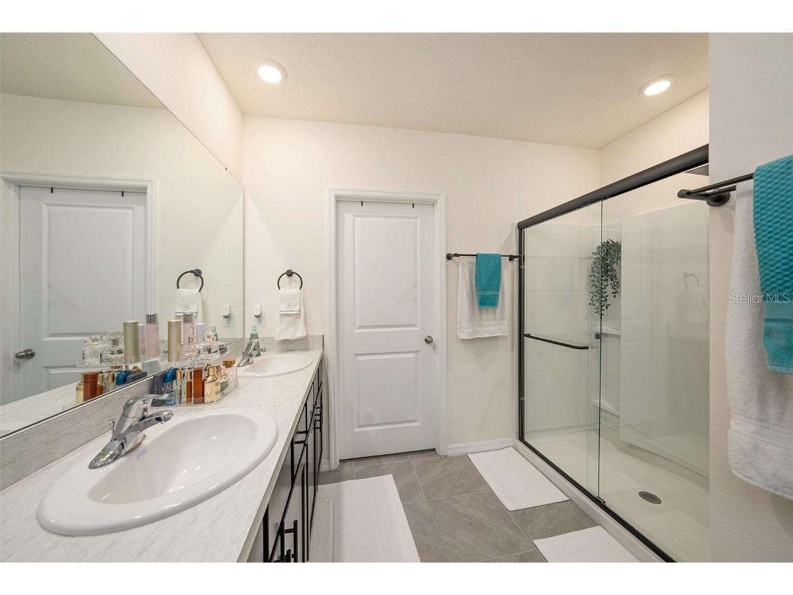 33548 Elm Hill Branch Wesley Chapel FL 33545 TB8450646 image27