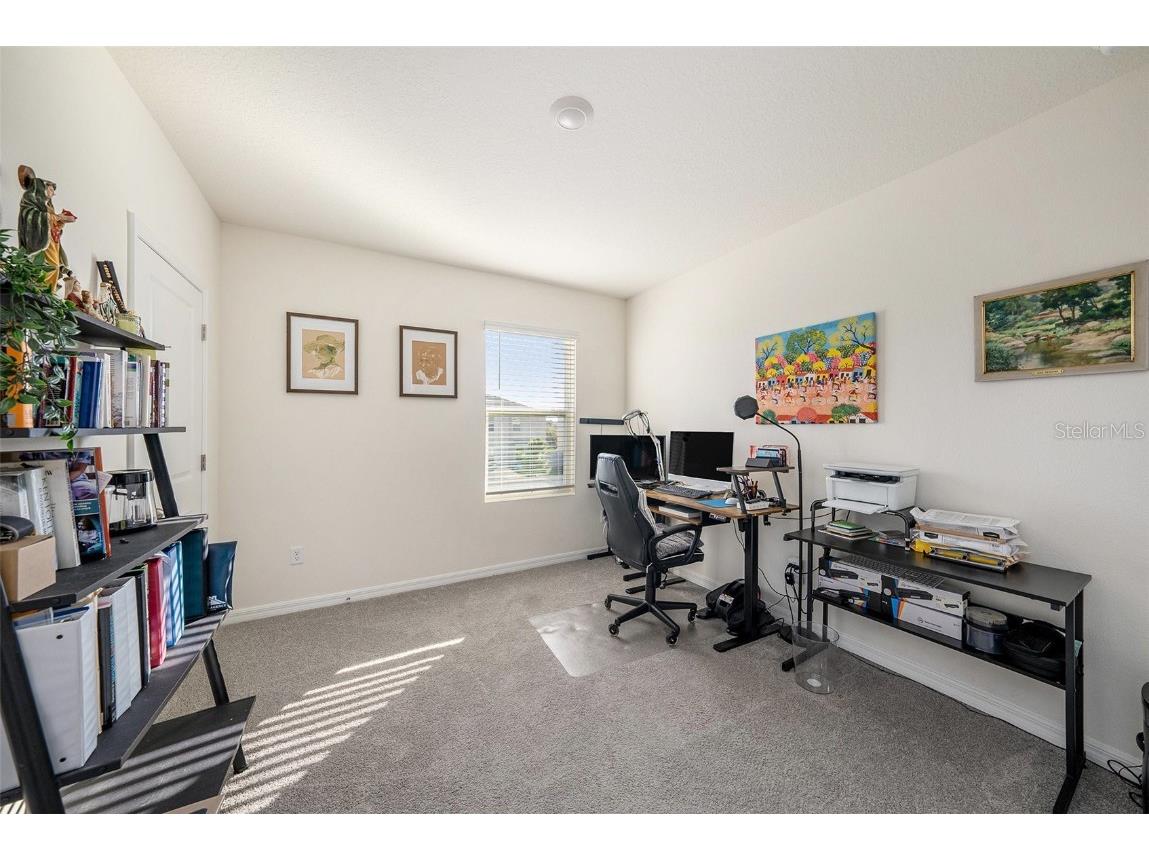 33548 Elm Hill Branch Wesley Chapel FL 33545 TB8450646 image28