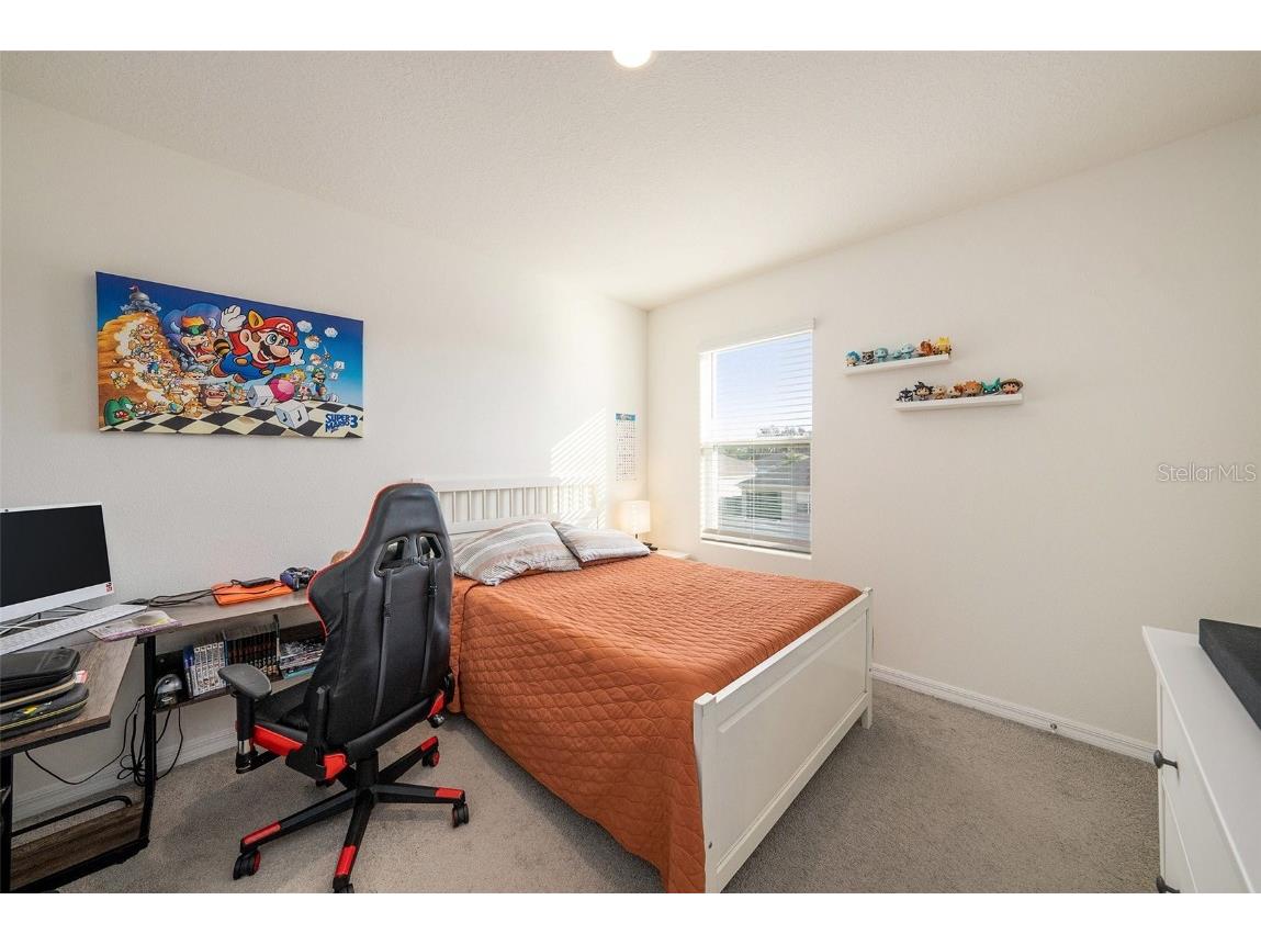 33548 Elm Hill Branch Wesley Chapel FL 33545 TB8450646 image29