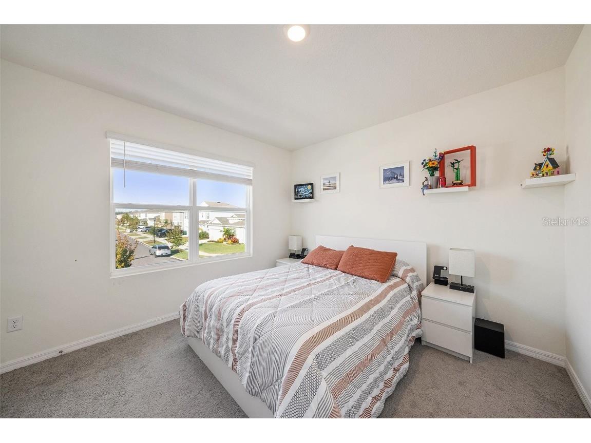 33548 Elm Hill Branch Wesley Chapel FL 33545 TB8450646 image30