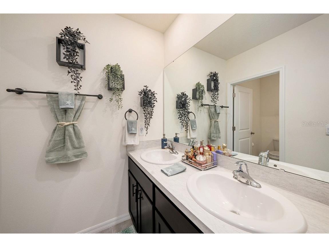 33548 Elm Hill Branch Wesley Chapel FL 33545 TB8450646 image32