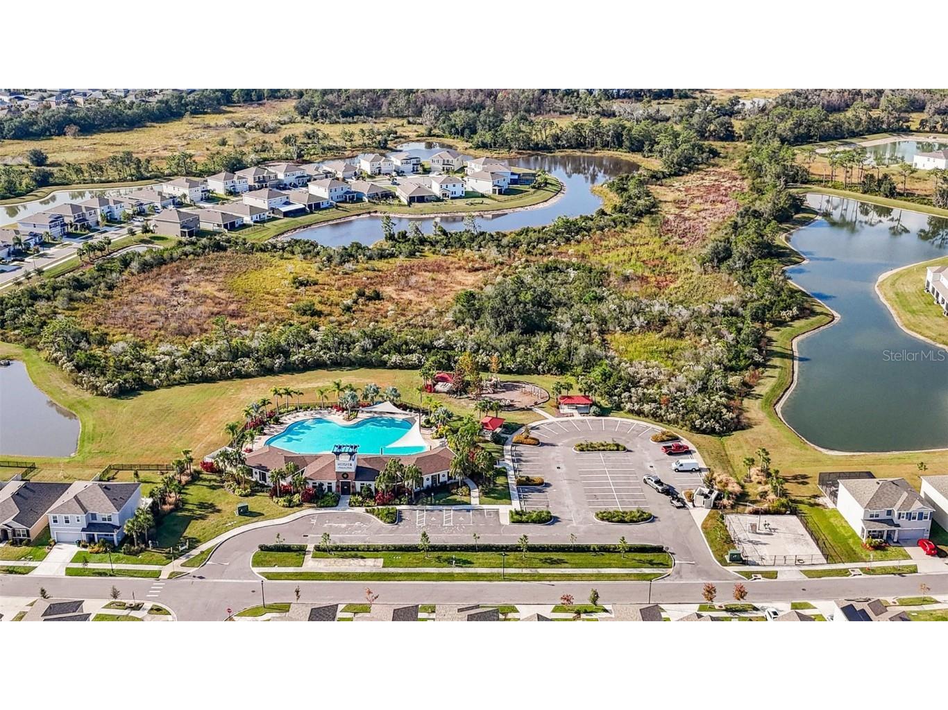 33548 Elm Hill Branch Wesley Chapel FL 33545 TB8450646 image37