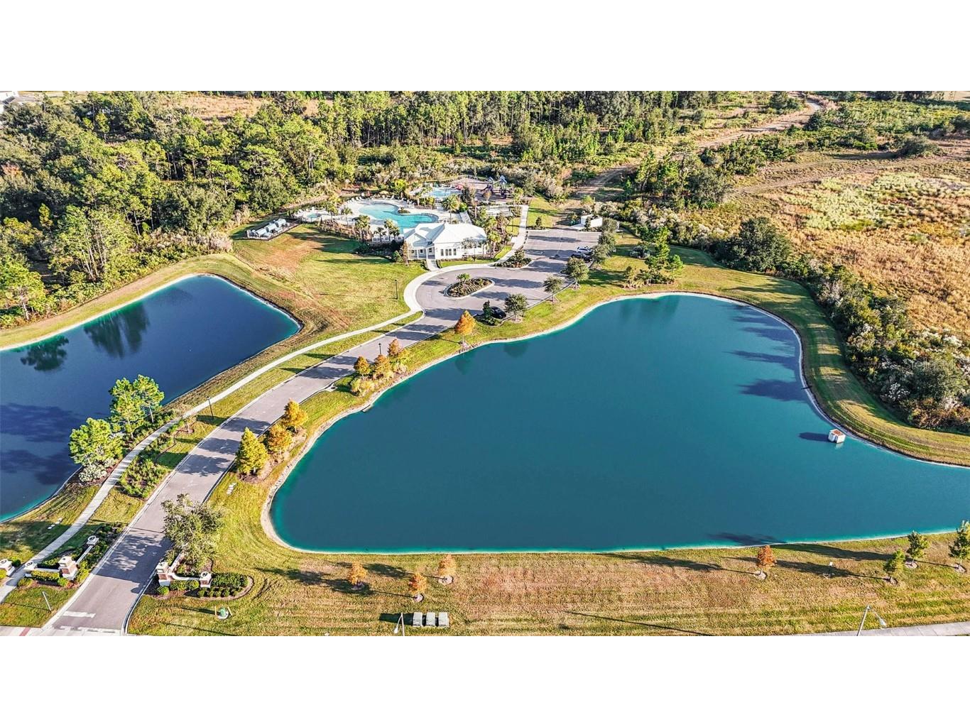 33548 Elm Hill Branch Wesley Chapel FL 33545 TB8450646 image38