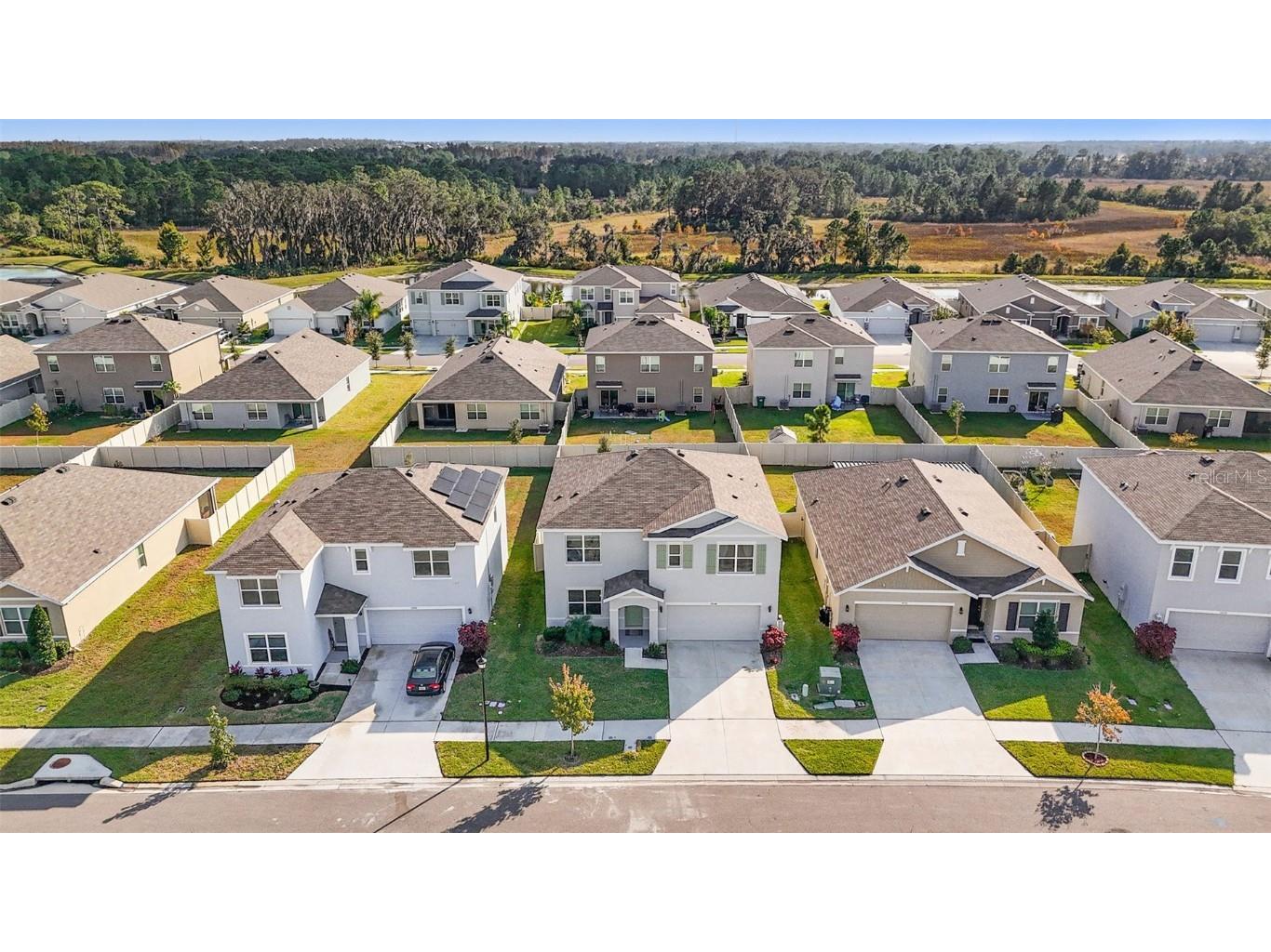 33548 Elm Hill Branch Wesley Chapel FL 33545 TB8450646 image43