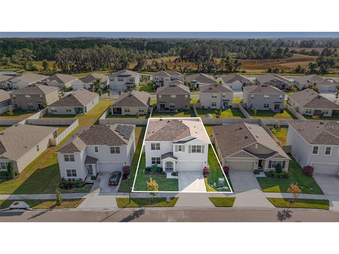 33548 Elm Hill Branch Wesley Chapel FL 33545 TB8450646 image47