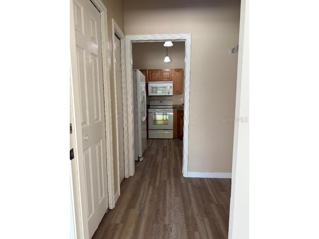 3355 Abeline Road Spring Hill FL 34608 TB8370529 image6