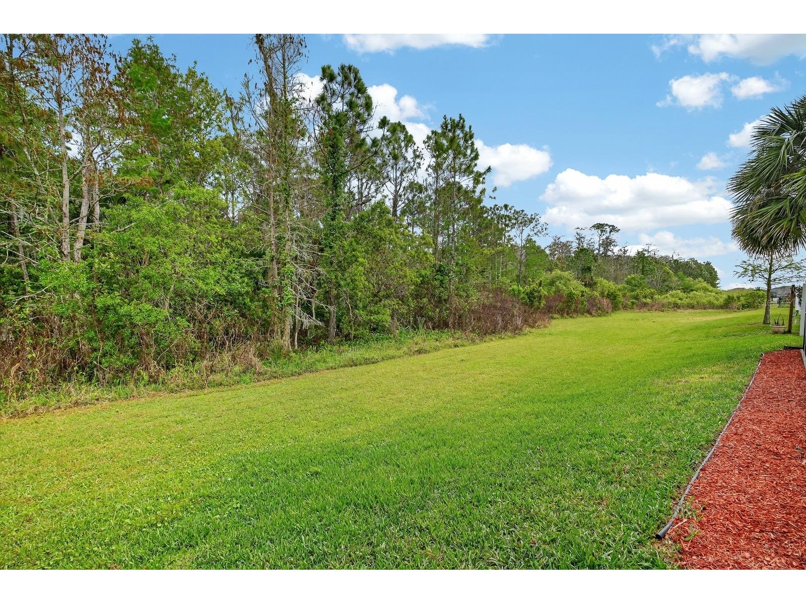 3355 Bellino Boulevard New Smyrna Beach FL 32168 V4948214 image43