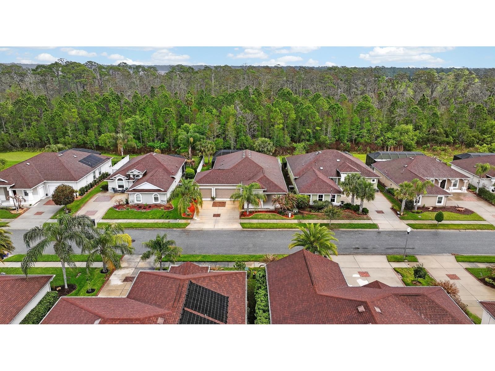 3355 Bellino Boulevard New Smyrna Beach FL 32168 V4948214 image48