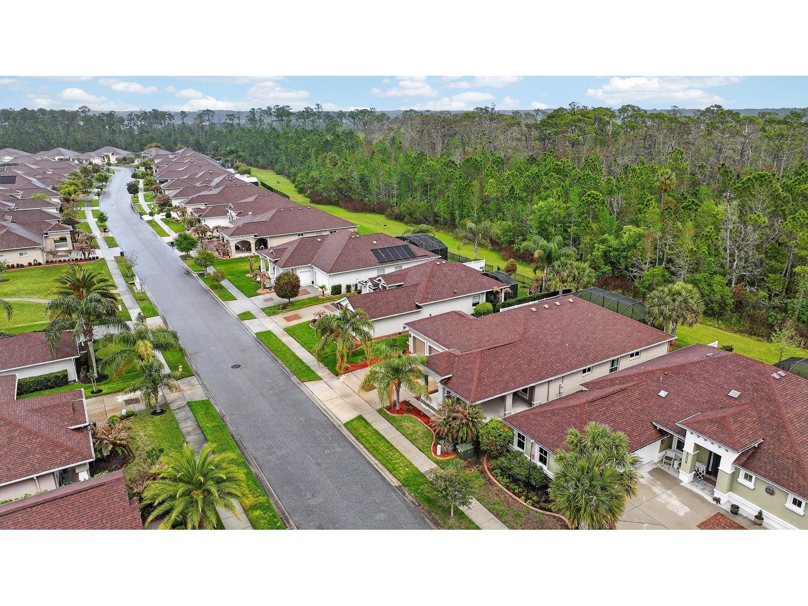 3355 Bellino Boulevard New Smyrna Beach FL 32168 V4948214 image50