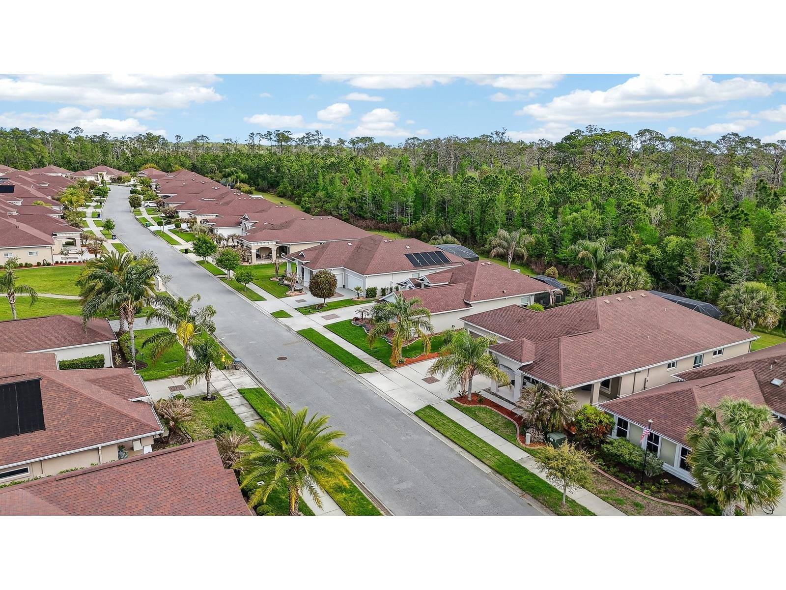 3355 Bellino Boulevard New Smyrna Beach FL 32168 V4948214 image51