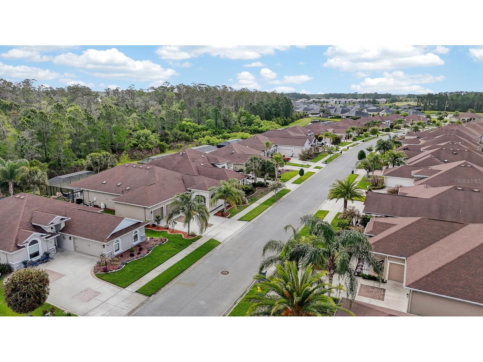 3355 Bellino Boulevard New Smyrna Beach FL 32168 V4948214 image52