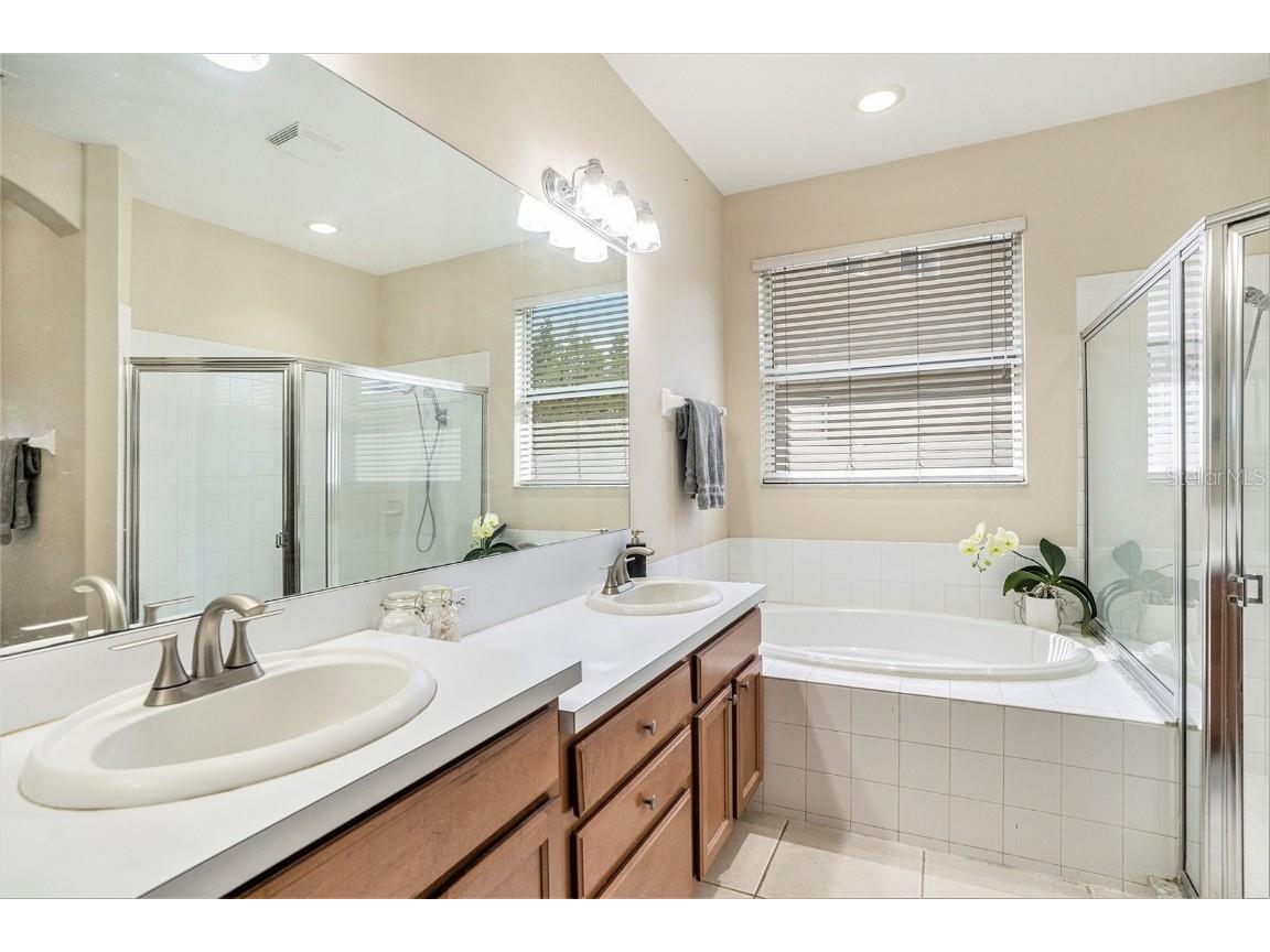 3355 Chessington Drive Land O Lakes FL 34638 TB8428443 image17