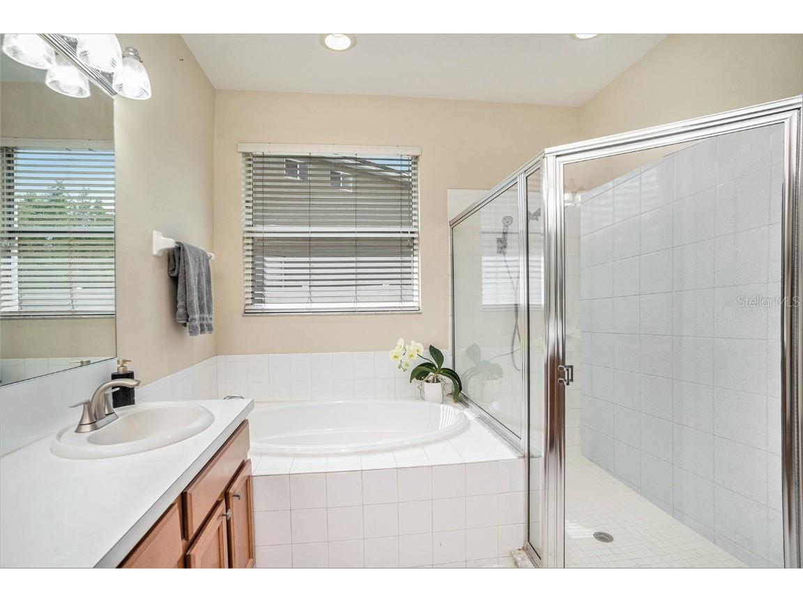 3355 Chessington Drive Land O Lakes FL 34638 TB8428443 image18