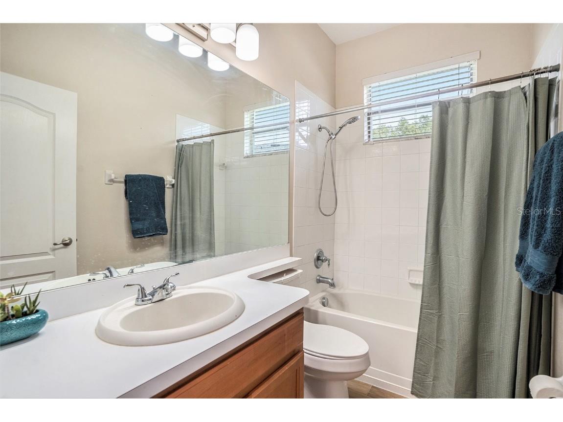 3355 Chessington Drive Land O Lakes FL 34638 TB8428443 image20