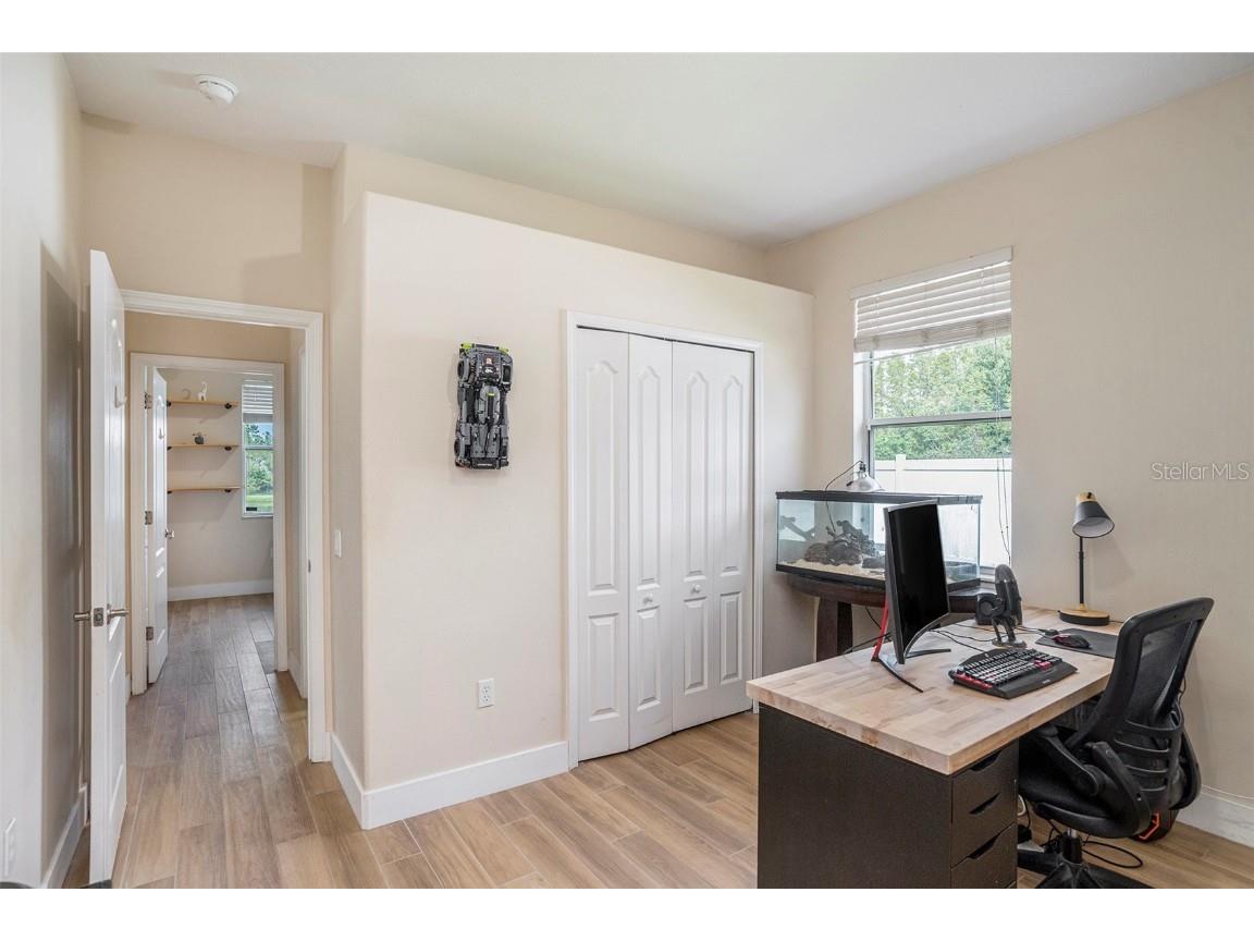 3355 Chessington Drive Land O Lakes FL 34638 TB8428443 image22