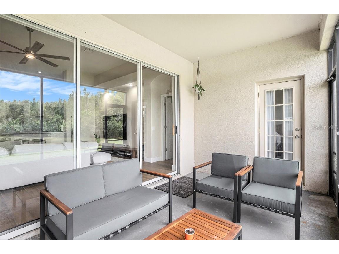 3355 Chessington Drive Land O Lakes FL 34638 TB8428443 image26