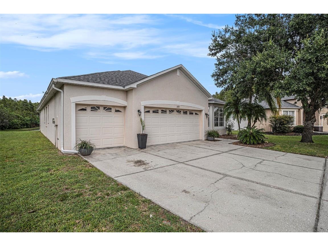 3355 Chessington Drive Land O Lakes FL 34638 TB8428443 image4