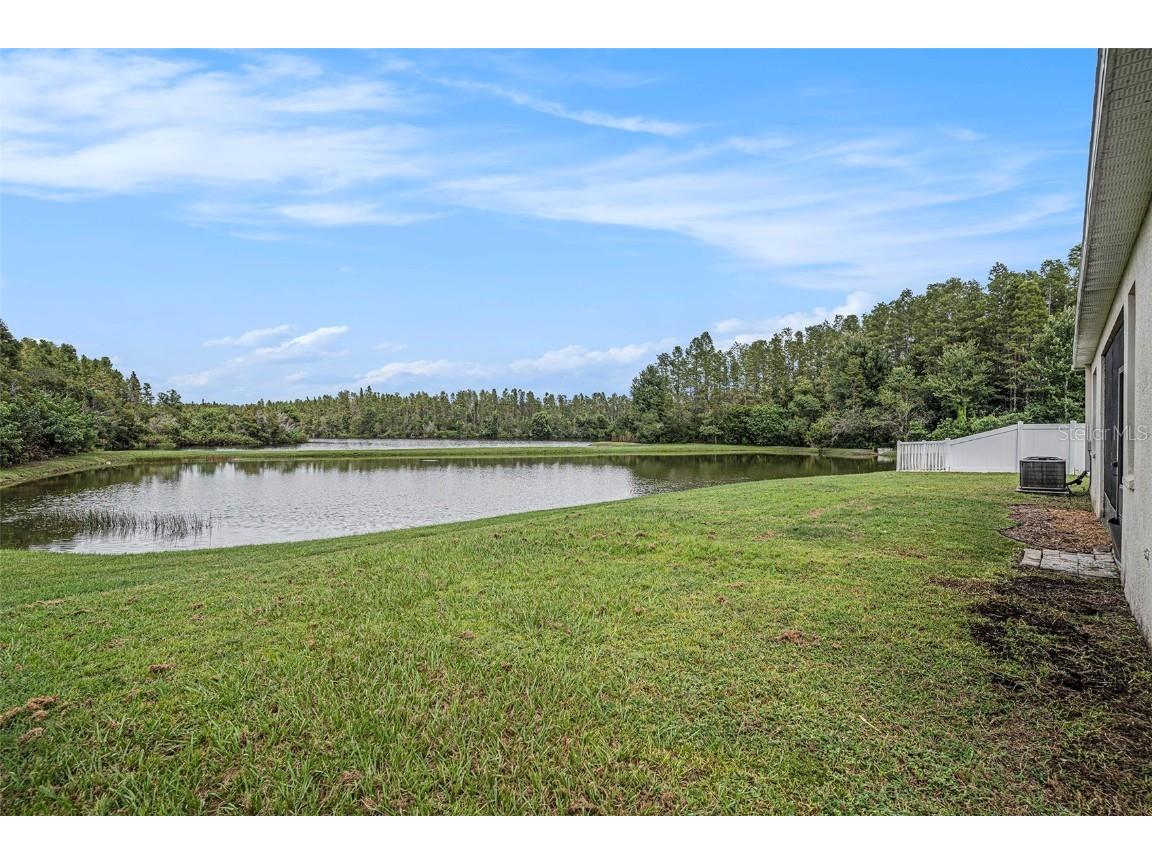 3355 Chessington Drive Land O Lakes FL 34638 TB8428443 image5