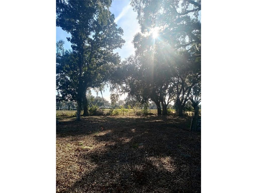 3355 E Cr-207 E Oxford FL 34484 O6268745 image1