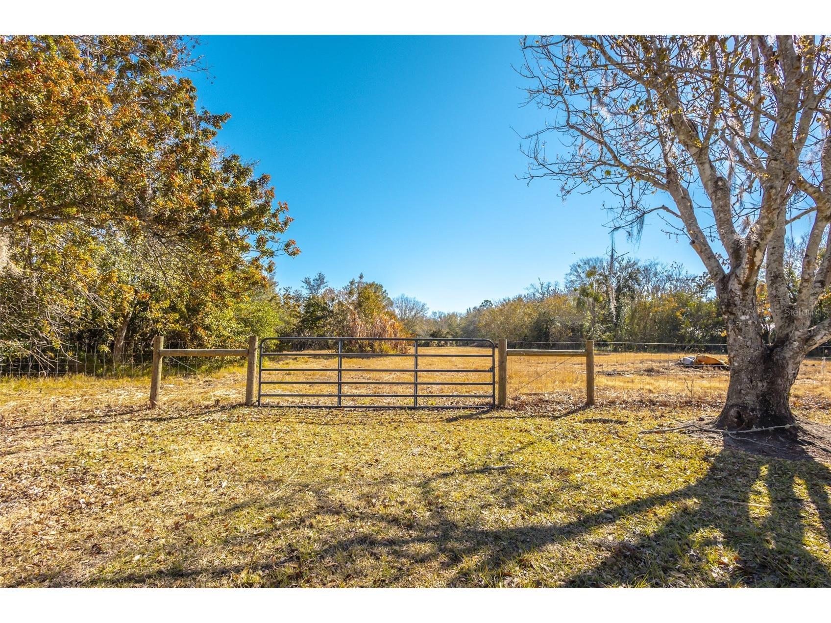 3355 Henry J Avenue Saint Cloud FL 34772 O6379039 image16