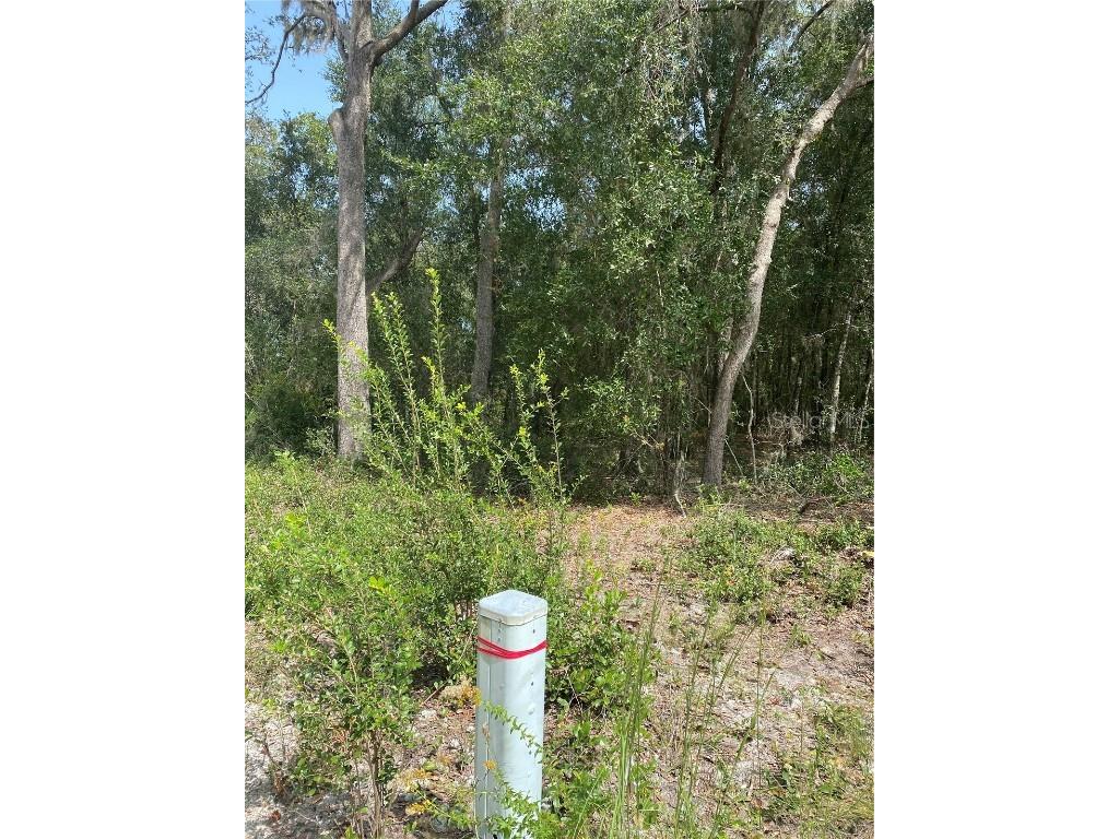 3355 Pelican Avenue Inverness FL 34450 T3542297 image1