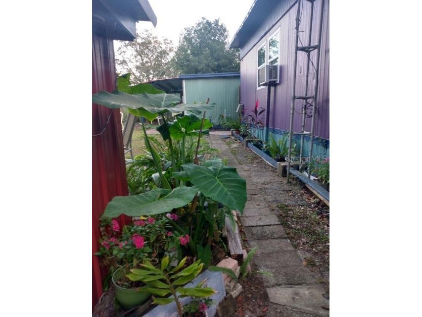 3355 SE 92nd Street Ocala FL 34480 OM694920 image21