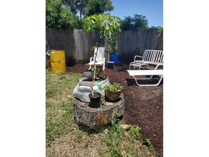 3355 SE 92nd Street Ocala FL 34480 OM694920 image26