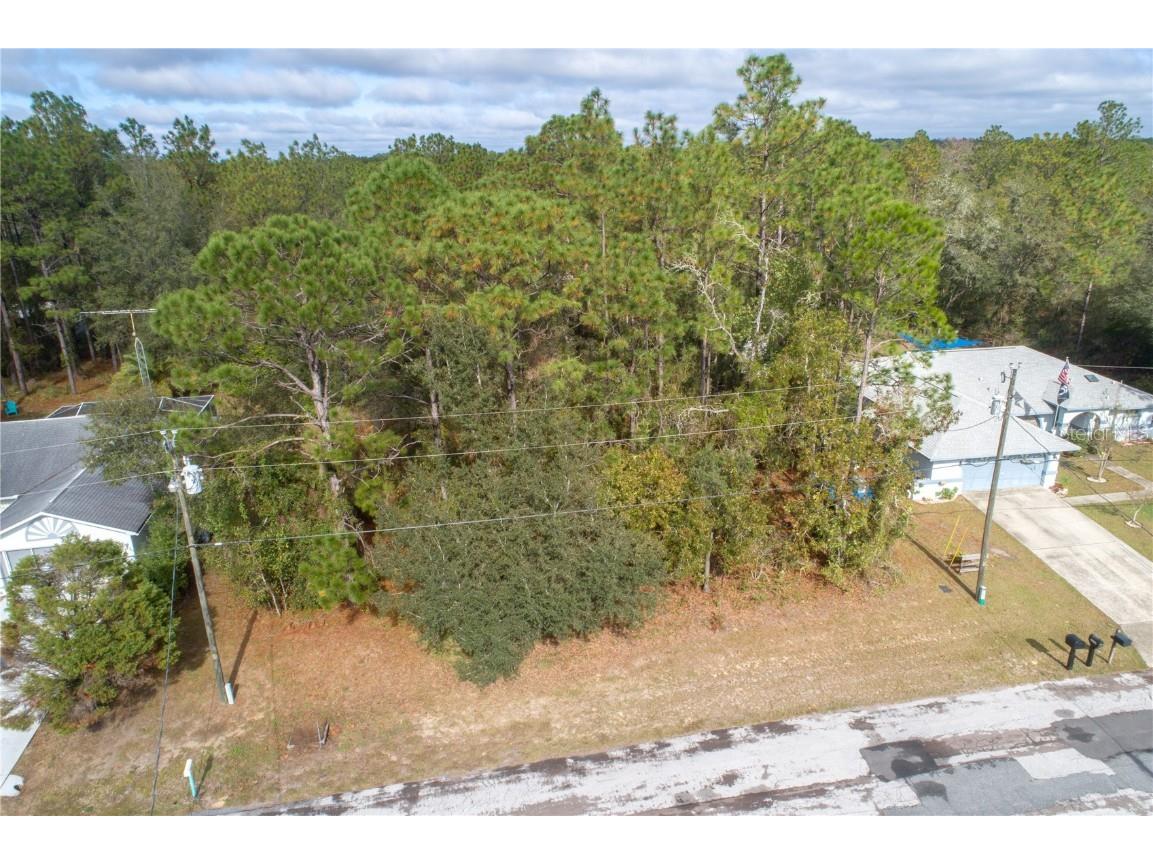 3355 W Marie Drive Citrus Springs FL 34433 OM668201 image1