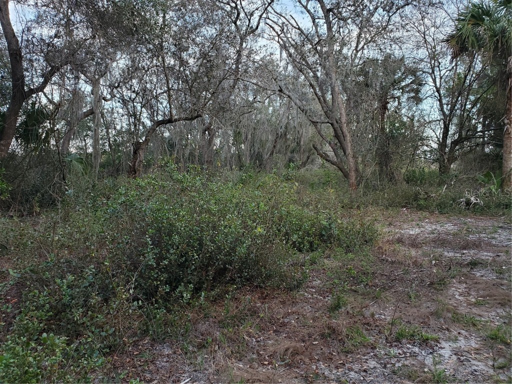 33556 Washington Loop Road Punta Gorda FL 33982 D6124340 image1