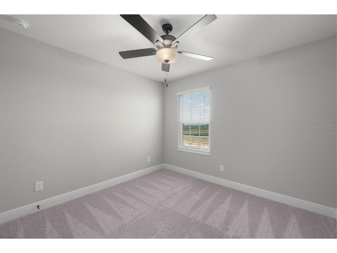 3356 Chinotto Drive Lake Alfred FL 33850 - GUM LAKE TB8431570 image28