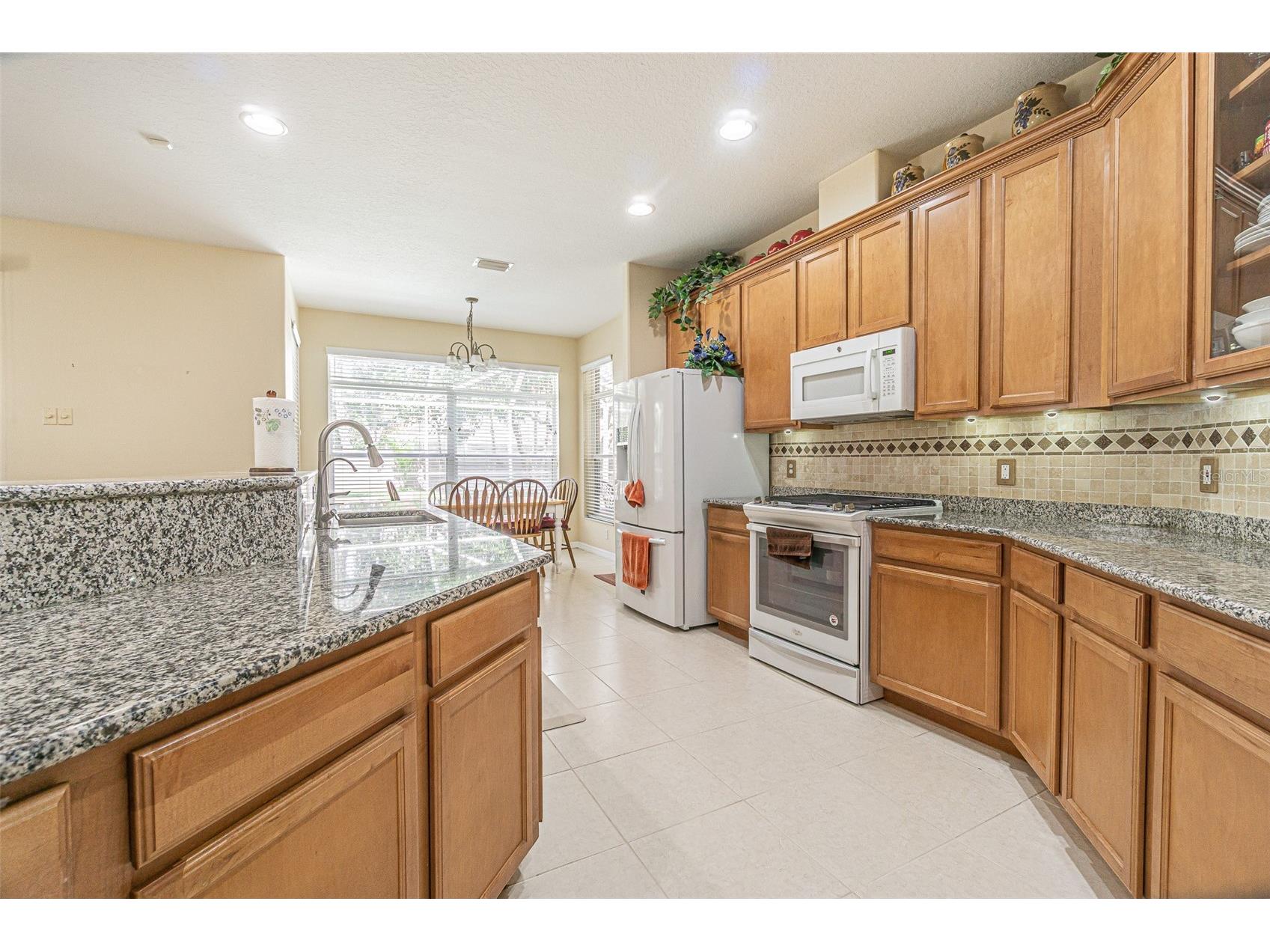 3356 Zack Drive Dunedin FL 34698 TB8506829 image14
