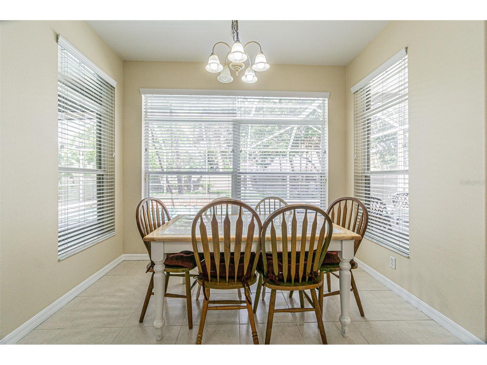 3356 Zack Drive Dunedin FL 34698 TB8506829 image18