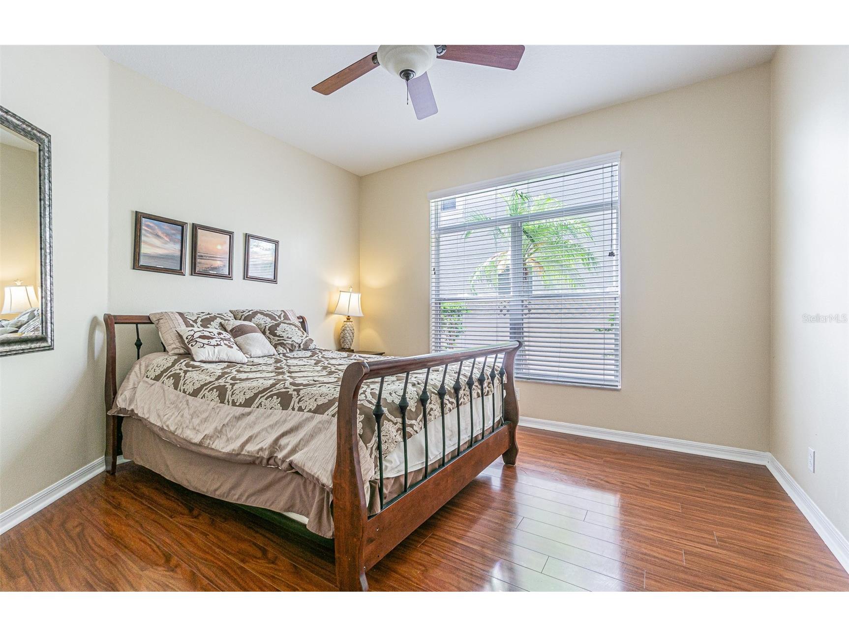 3356 Zack Drive Dunedin FL 34698 TB8506829 image21