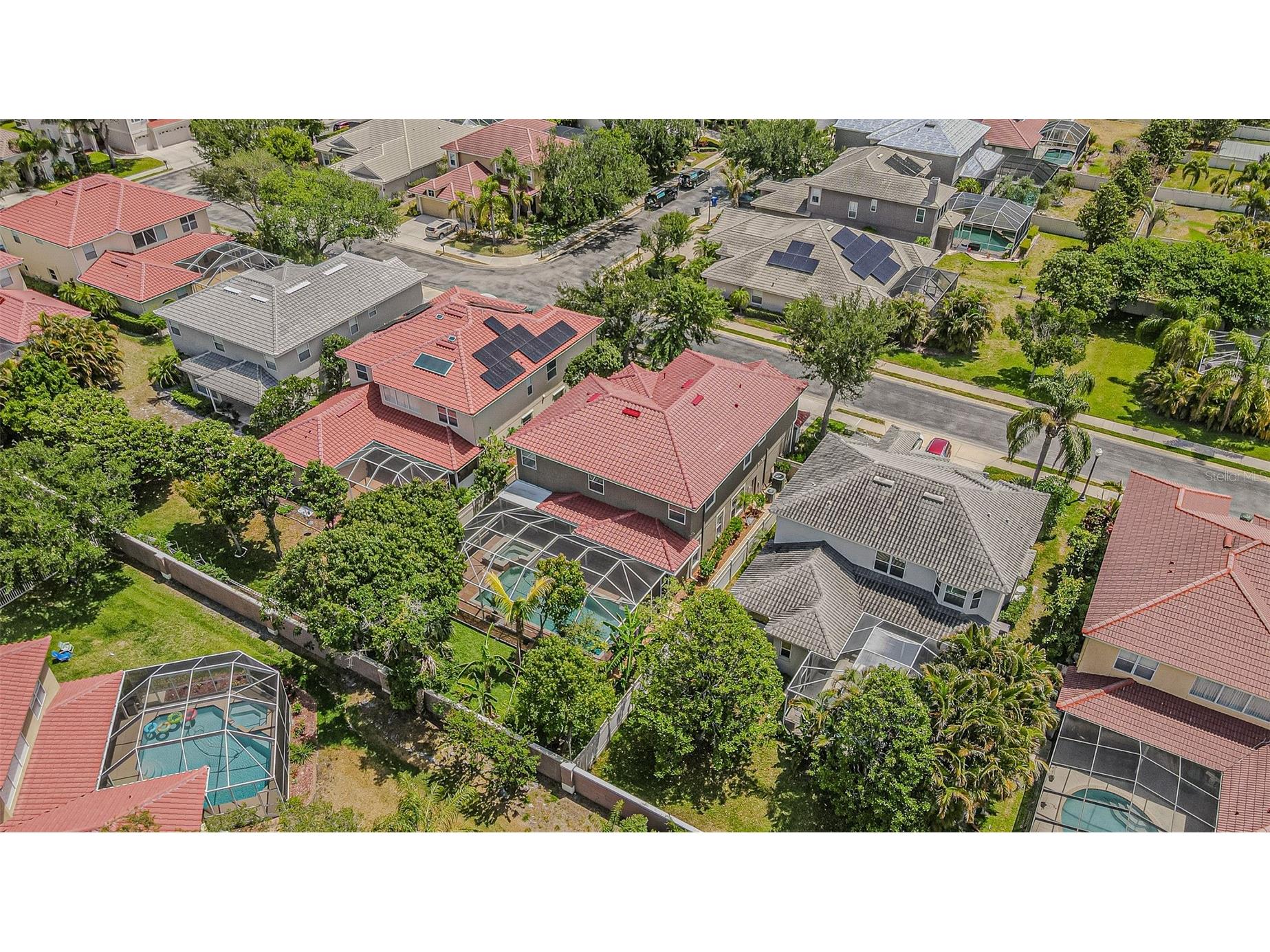 3356 Zack Drive Dunedin FL 34698 TB8506829 image3